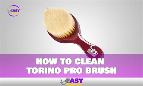 cleaning torino pro brush